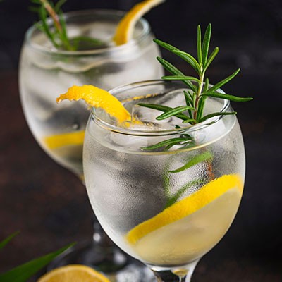 gin tonic presentazione