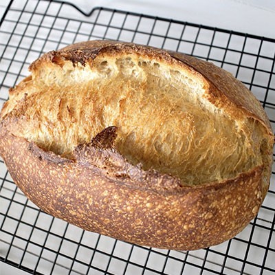 come fare il pane fatto in casa ricetta per fare il pane