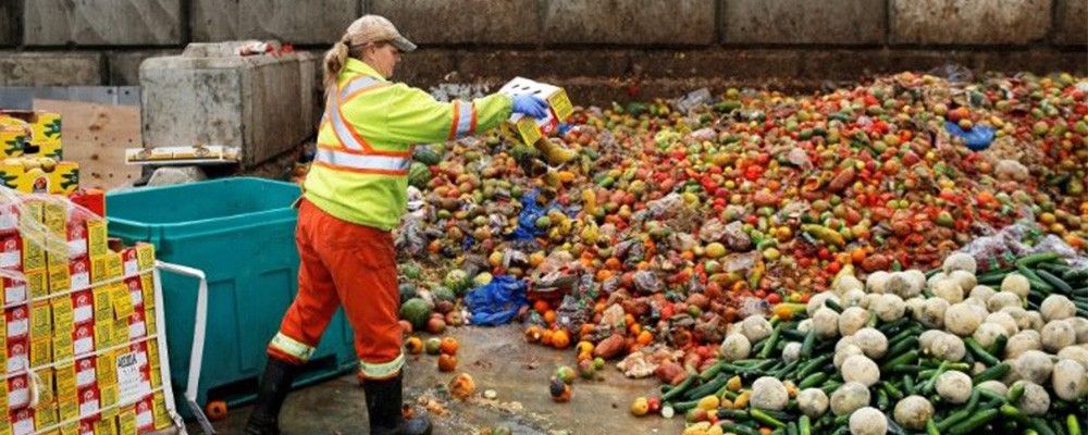 Come ridurre lo spreco alimentare: 5 pratici consigli - PapoLab